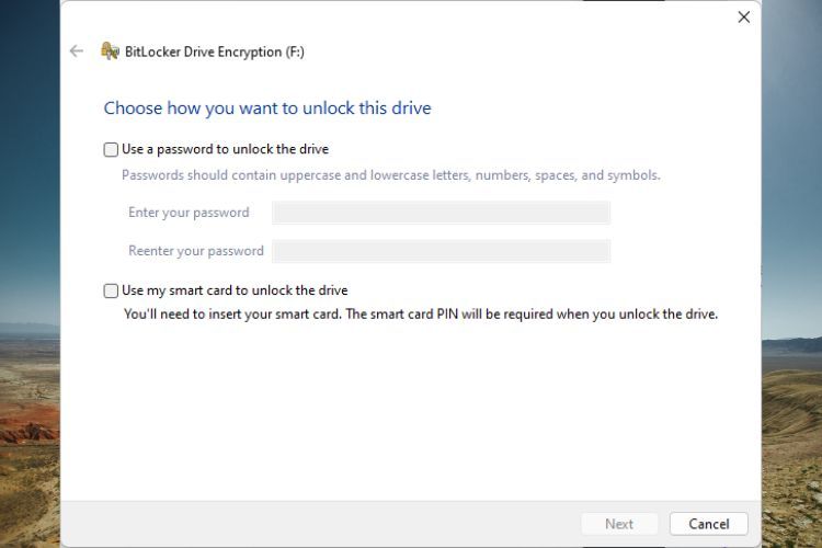 BItLocker Window asking how the user wants to unlock the drive that's about to be encrypted.